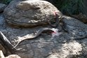 Khamai Reptile Centre 016